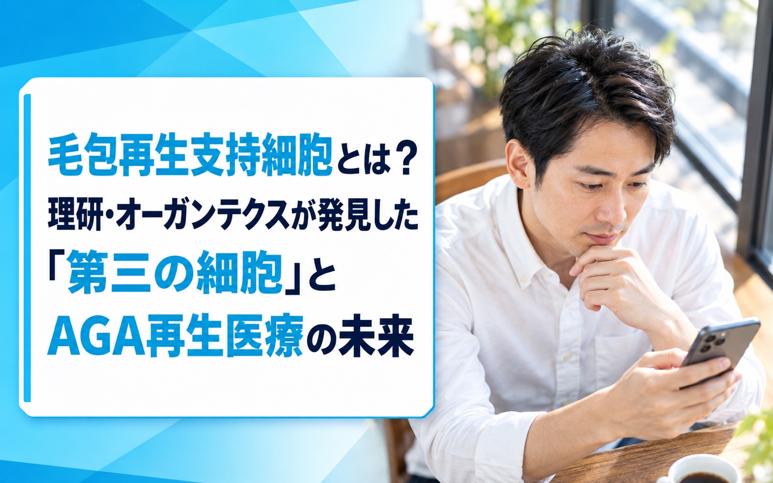 毛包再生支持細胞とは？理研・オーガンテクスが発見した「第三の細胞」とAGA再生医療の未来【2026年版】
