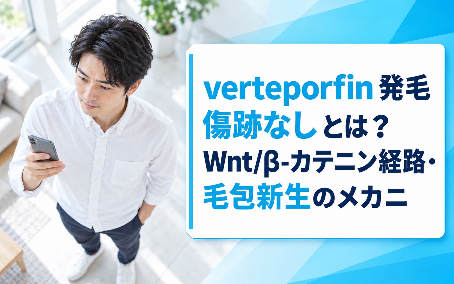 verteporfin 発毛 傷跡なし とは？Wnt/β-カテニン経路・毛包新生のメカニズムと臨床展望を解説【2026年版】